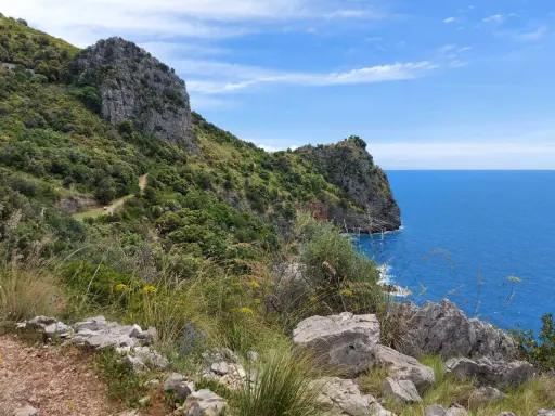 Sentiero panoramico con rocce e vegetazione lussureggiante che si affaccia sul mare blu intenso. Un'ottima idea per cosa vedere a Sapri.