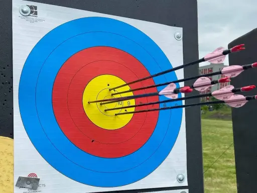 Strzały w tarczę, celne jak w łucznictwie konnym. Kilka strzałek z różowymi lotkami trafiło w środek.