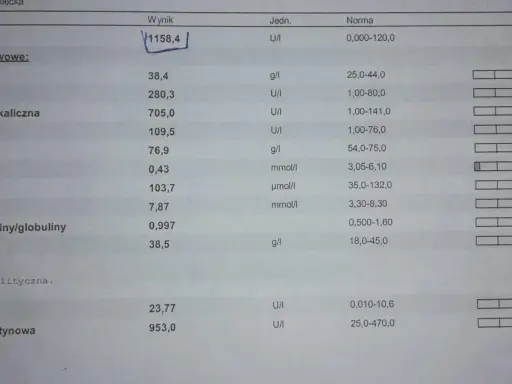 Wynik badania lipazy u psa: 1158,4 U/I. Wynik znacznie przekracza normę (0-120 U/I), co może wskazywać na problemy zdrowotne.