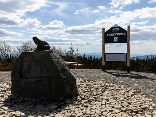 Kamienna żaba na Skrzycznem, jednym z najwyższych beskid śląski szczyty. Tablica informacyjna i ławka zapraszają do podziwiania panoramy.