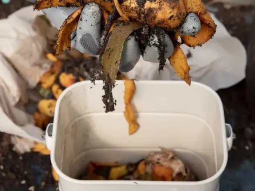 Des restes de légumes, dont des épluchures de carottes, sont ajoutés à un composteur. Ce processus prépare le futur jus de bokashi.