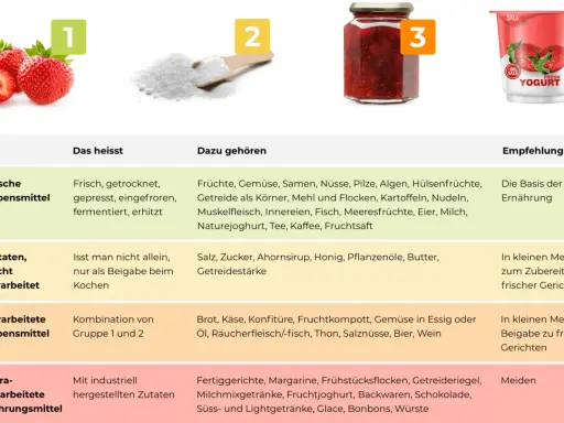 Die Grafik erklärt, was ist fast food: von frischen Lebensmitteln bis zu ultra-verarbeiteten Produkten, die man meiden sollte.