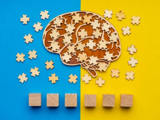 Forma di cervello in legno con pezzi di puzzle sparsi, che simboleggiano il metodo Feuerstein e lo sviluppo cognitivo.