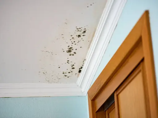 Manchas de moho en el techo y pared, un problema común que requiere remedios caseros para quitar el moho de las paredes.