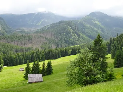 Zielone doliny i lasy Tatr, widok na kalatówki w Zakopanem.
