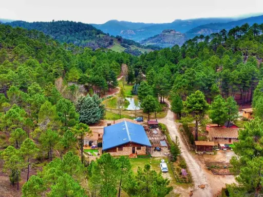 Un refugio en el bosque, el lagunazo riopar, rodeado de pinos y con un estanque sereno.