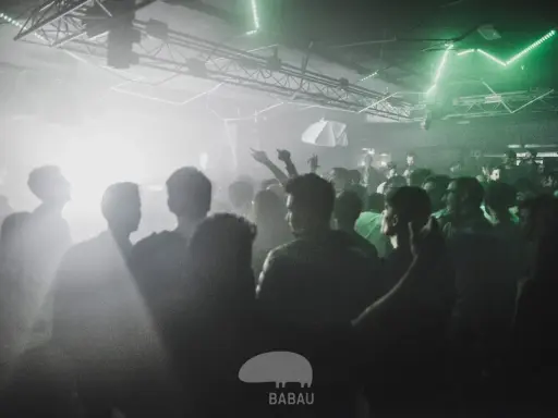 Folla in delirio in un locale, luci verdi e fumo creano un'atmosfera da dj techno anni '90.