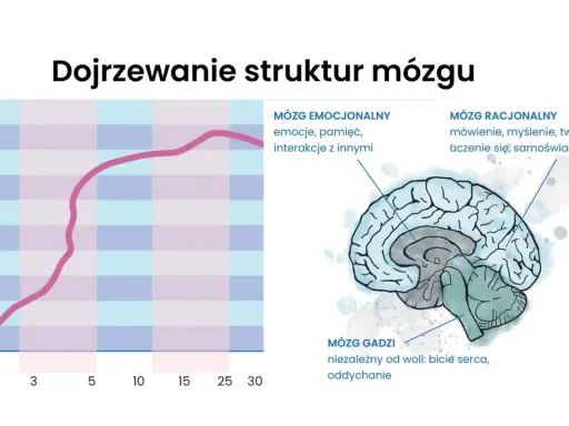Rozwój mózgu dziecka: Kluczowe czynniki i jak je wspierać?