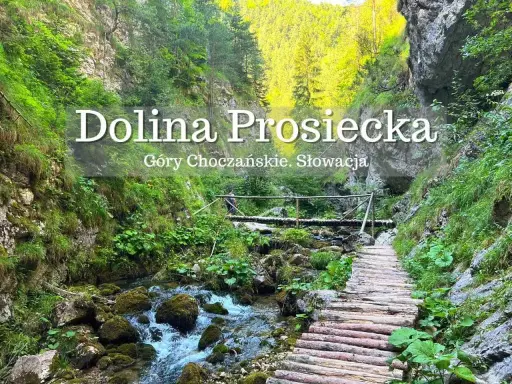 Drewniana kładka w Dolinie Prosieckiej, w Górach Choczańskich. Woda szemrze wśród kamieni, a zielone zbocza otaczają szlak.