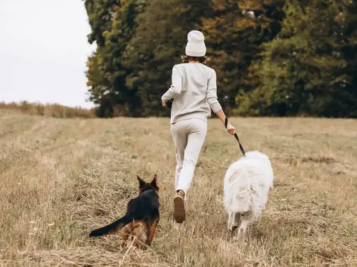 Kobieta z dwoma psami biegnie przez łąkę. Idealne miejsce, gdzie na wakacje z psem w Polsce.