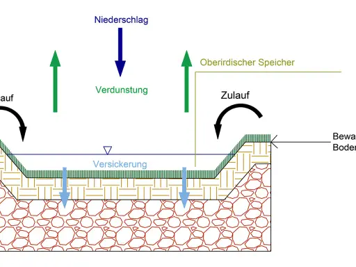 Schema einer Sickermulde: Regenwasser versickert, verdunstet und fließt zu. Oberirdischer Speicher und bewachsene Bodenzone sind dargestellt.