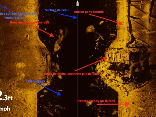 Image d'un sondeur side imaging montrant un ancien pont écroulé, des amas de roche et un banc de poissons.