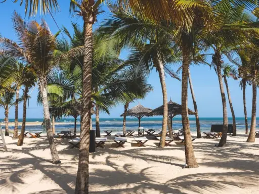 Rajska plaża w Kenii w grudniu. Palmy, leżaki i ocean tworzą idealną pogodę na wakacje.