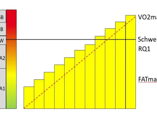 Diagramm zeigt Trainingszonen: GA1, GA2, SW, EB, SB. Die gelben Balken steigen an, die rote Linie zeigt die Schwelle. Oberhalb der Schwelle beginnt die anaerobe Zone.