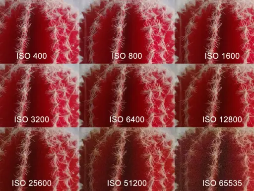 Muestra cómo el ruido aumenta en una foto de cactus al subir el ISO de la cámara, desde ISO 400 hasta ISO 65535.