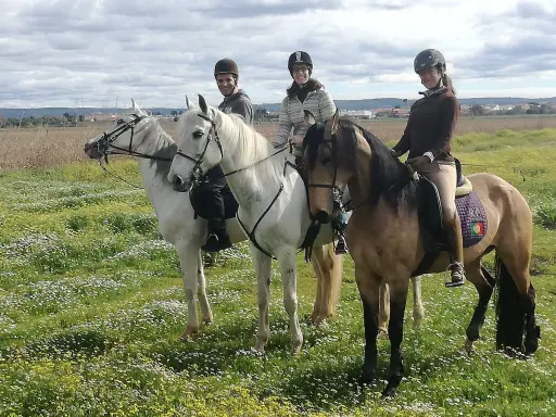 Drei Reiter auf Pferden in einer blühenden Wiese bei Golega, Portugal.