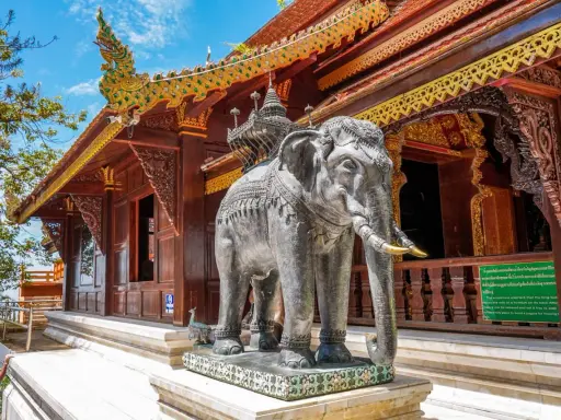 Chiang Mai atrakcje: kamienny słoń przed ozdobną świątynią z bogato zdobionym dachem.