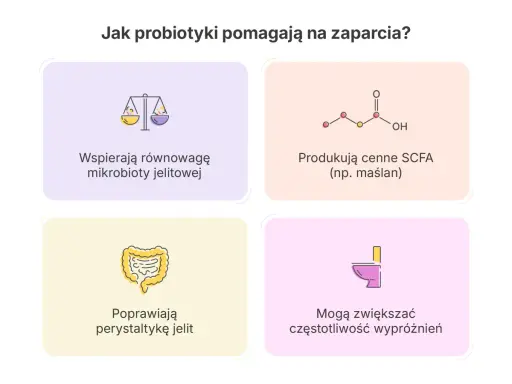Probiotyki wspierają równowagę mikrobioty, produkują SCFA, poprawiają perystaltykę jelit i mogą zwiększać częstotliwość wypróżnień, co odpowiada na pytanie, czy probiotyk powoduje zaparcia.