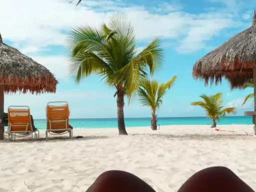 Soligt och varmt på Aruba i december. Palmer, parasoller och tomma solstolar på en vit sandstrand vid turkost hav.