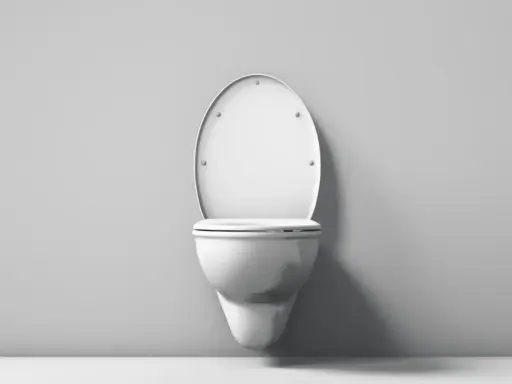 Biała, wisząca miska WC z otwartą klapą. Wykonana z duroplastu, który jest trwałym tworzywem.