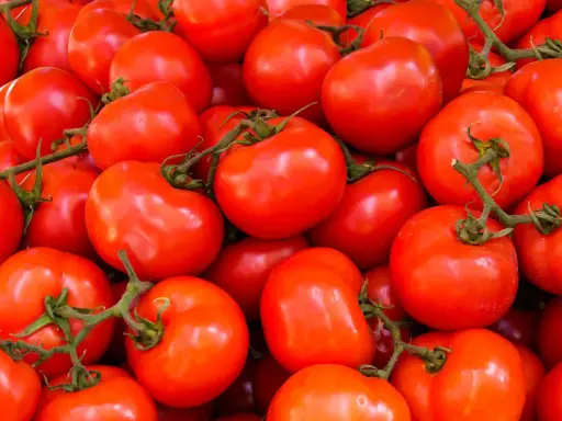 Mnóstwo soczystych, czerwonych pomidorów, idealnych na keto dietę.
