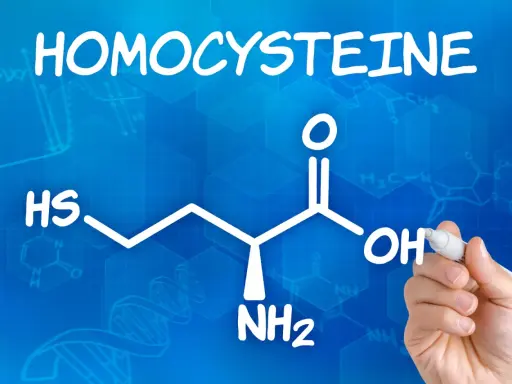 Homocysteina: Cichy wróg zdrowia? Obniż ją skutecznie!