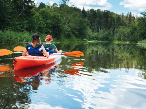 Dwie osoby płyną pomarańczowym kajakiem po spokojnej rzece. Wokół bujna zieleń drzew i trzcin. Idealny spływ kajakowy Mazury.