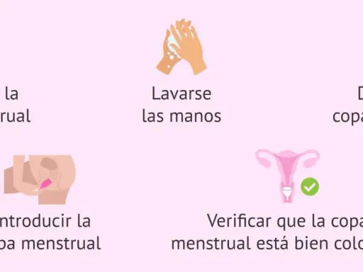 Guía visual: esterilizar, lavarse las manos, doblar, introducir y verificar la copa menstrual. Así es para qué sirve la regla de higiene.
