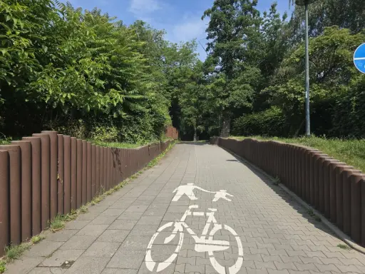 Ścieżka rowerowa w parku Młynówka Królewska, z zielenią po bokach i znakiem rowerzysty na kostce brukowej.
