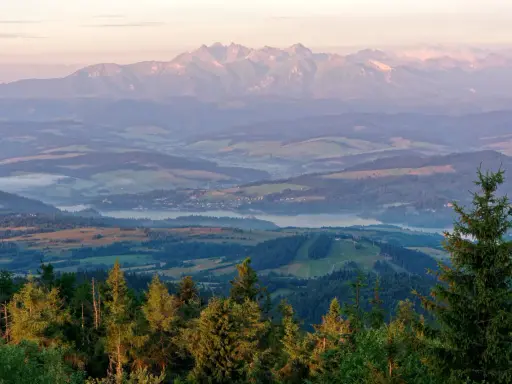 Widok na Tatry o wschodzie słońca. Mgły unoszą się nad doliną, a lasy i pola tworzą malowniczy krajobraz. W oddali widać **gorc** szczytów.