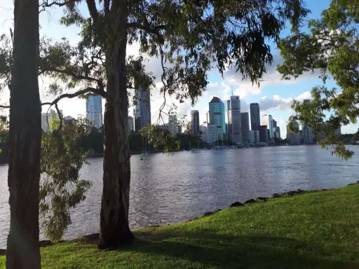 Vista del grande porto australiano con grattacieli sullo sfondo, alberi in primo piano e un fiume tranquillo.