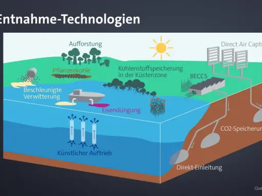 Illustration zeigt verschiedene Methoden, um CO2 zu entfernen: Aufforstung, Pflanzenkohle, Eisendüngung, BECCS, Direct Air Capture und CO2-Speicherung.