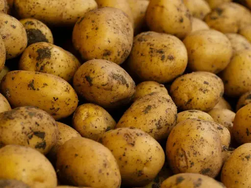 Góra ziemniaków, które po ugotowaniu z solą mają ok. 80 kcal na 100g.