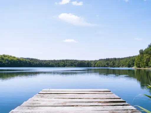 Holzsteg am ruhigen See, umgeben von grünen Wäldern. Ein perfekter Ort für einen geheimtipp mecklenburgische seenplatte Urlaub.