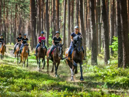 Grupa osób na koniach jedzie przez las.