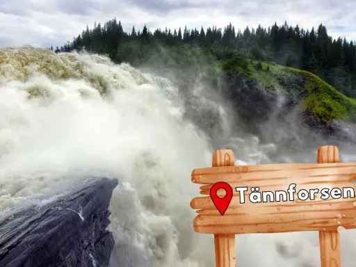 Tännforsen, en av Sveriges bästa vattenfallsvandringar, brusar fram. En träskylt markerar platsen.