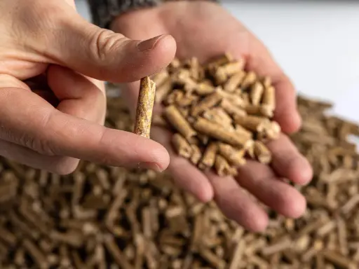 Un dedo sostiene un pellet, mostrando de qué está hecho el pellet: biomasa compactada. En la mano hay más pellets.