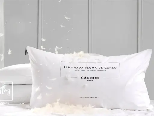 Almohadas de plumas son malas. Plumas flotan por todas partes, cubriendo la almohada Cannon Home.