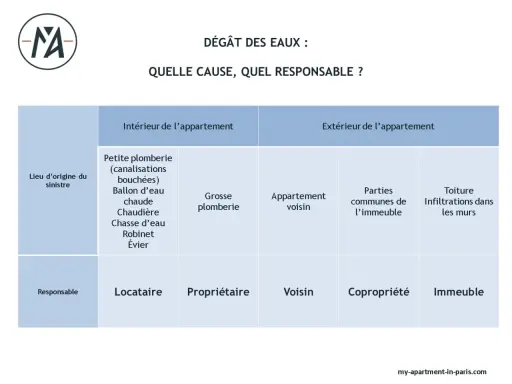 Tableau "Dégât des eaux : Quelle cause, quel responsable ?" montrant les origines (intérieur/extérieur) et les responsables (locataire, propriétaire, voisin, copropriété, immeuble) d'un dégât des eaux.