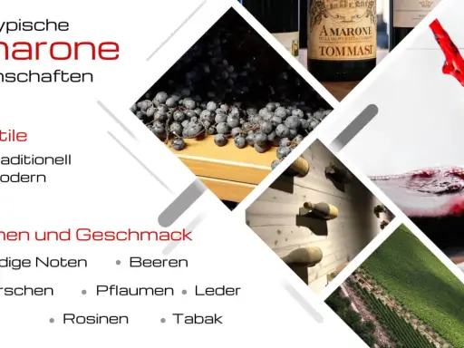 Amarone: typische Eigenschaften, Stile, Aromen wie Beeren, Kirschen, Pflaumen, Rosinen, Tabak. Erdig, Leder.
