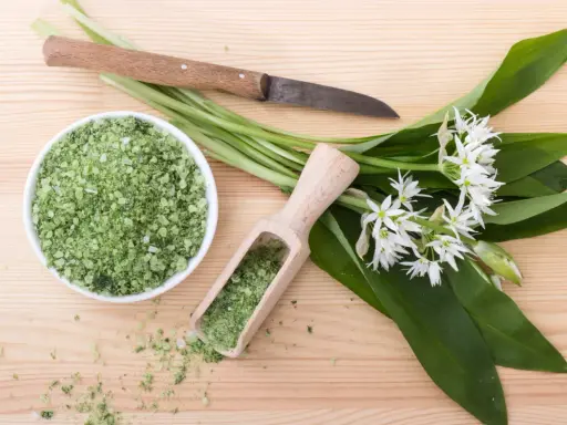 Sel d'ail des ours fraîchement préparé, avec des feuilles et des fleurs, prêt à conserver.