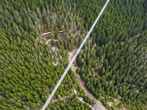 Długi, szklany most w Czechach przecina gęsty las świerkowy. Widać ludzi spacerujących po jego długości.