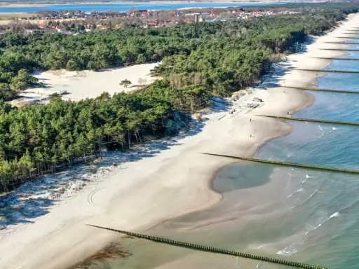 Piękna plaża w Rogowie z sosnowym lasem w tle i drewnianymi falochronami w morzu.