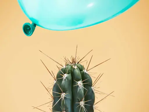 Un palloncino azzurro incombe su un cactus spinoso, metafora dei sintomi di una persona instabile.