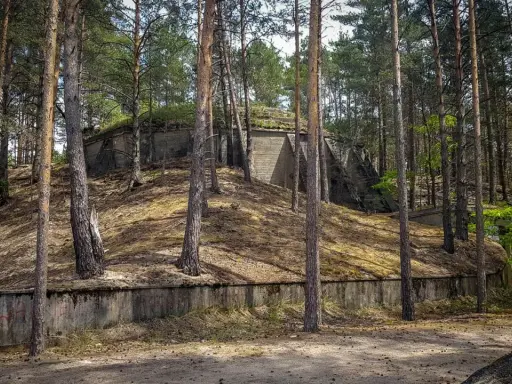 Betonowe bunkry w lesie, pozostałości po dag krzystkowice, porośnięte mchem i otoczone sosnami.