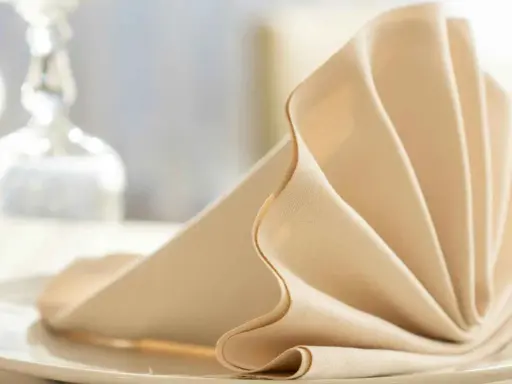 Une serviette en tissu beige pliée en éventail sur une assiette blanche, évoquant un élégant dressage de table à la française.