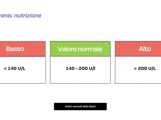 Grafico che illustra i valori normali della lipasi: basso (<140 U/L), normale (140-200 U/I) e alto (>200 U/L).