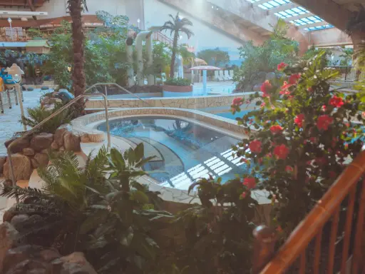 Ein tropisches Paradies im h2o schwimmbad mit Palmen, üppiger Vegetation und einem einladenden Poolbereich.