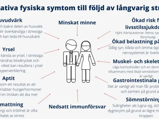 Yrsel, huvudvärk och utmattning är vanliga symtom vid långvarig stress.
