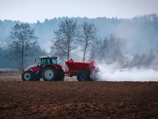 Czerwony traktor z przyczepą rozsypuje nawóz na polu. To przygotowanie gleby, by warzywa lubiące wapnowanie, jak pomidory czy kapusta, dobrze rosły.